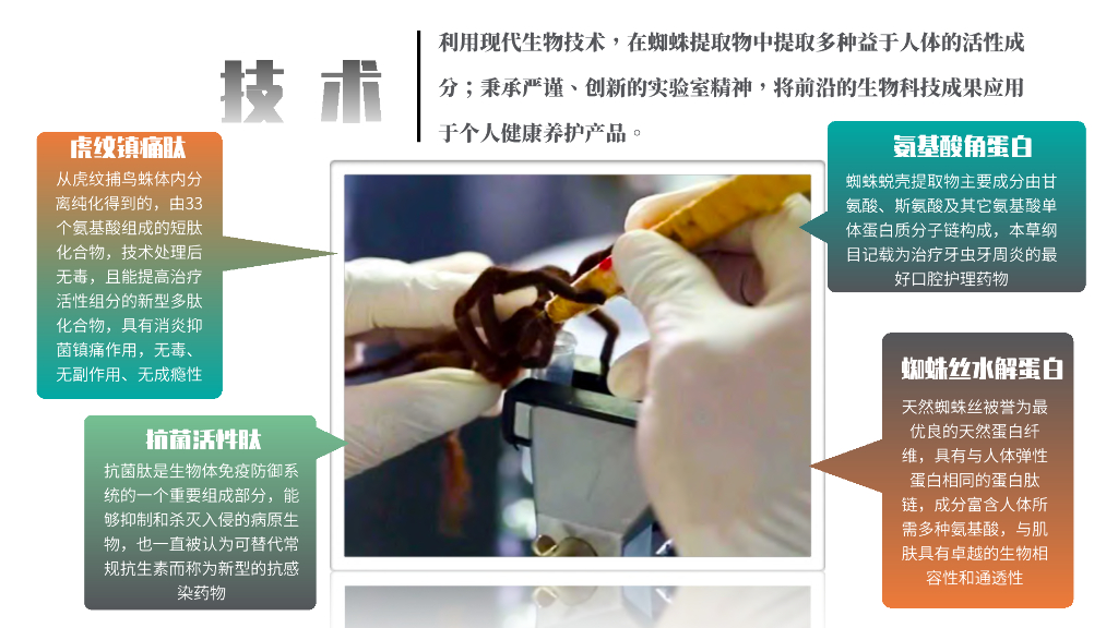 蛛王：轻中医 新健康 _第4页