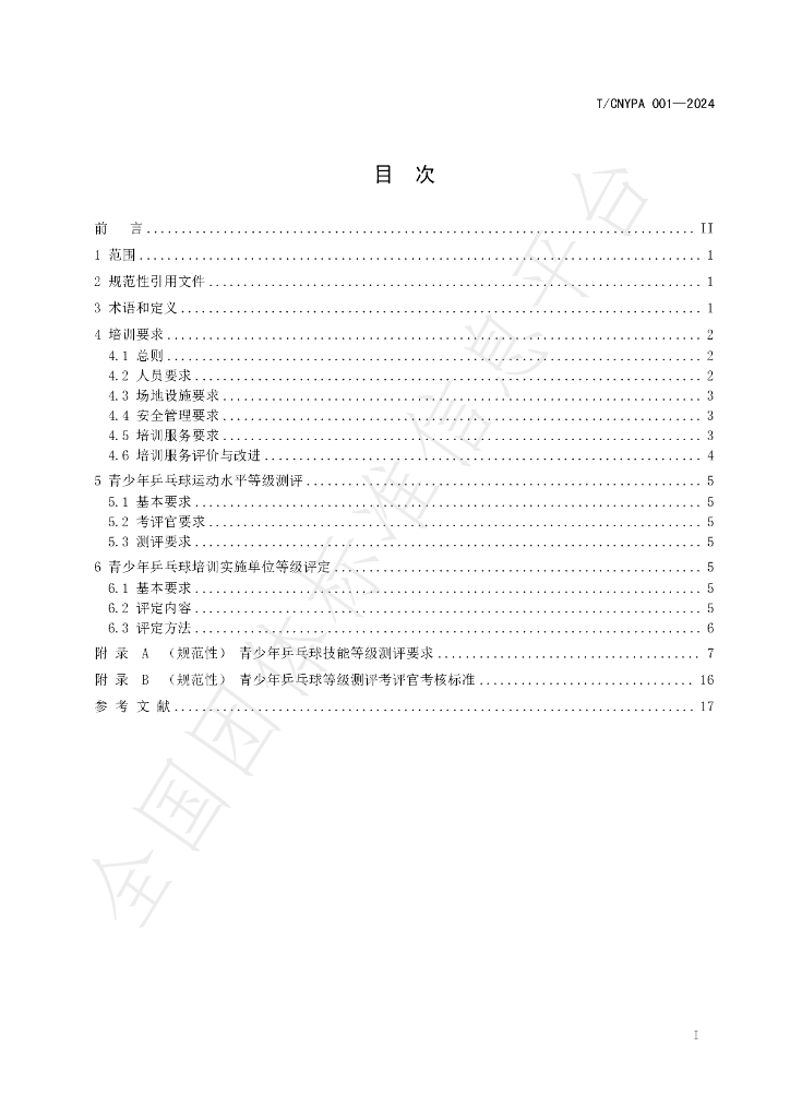 T/CNYPA 001-2024 标准预览