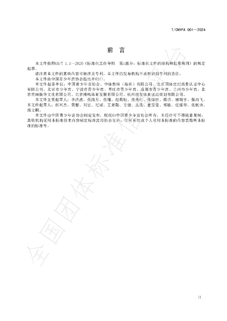 T/CNYPA 001-2024 标准预览