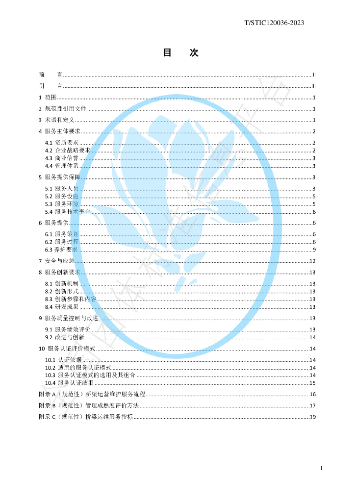 T/STIC 120036-2023 标准预览