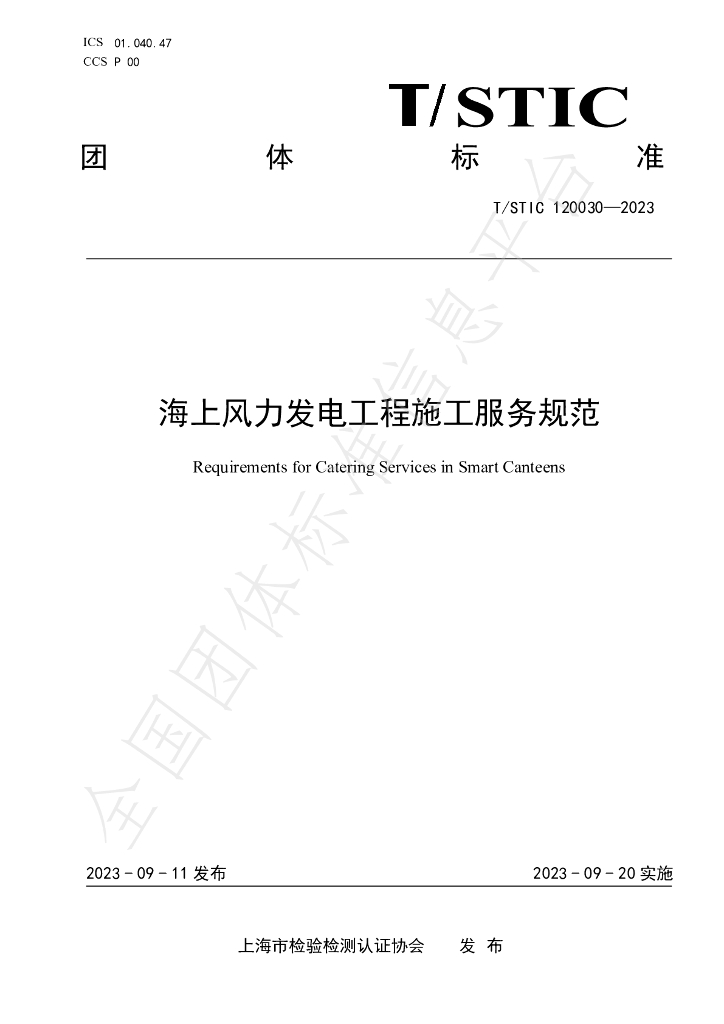 T/STIC 120030-2023 标准预览