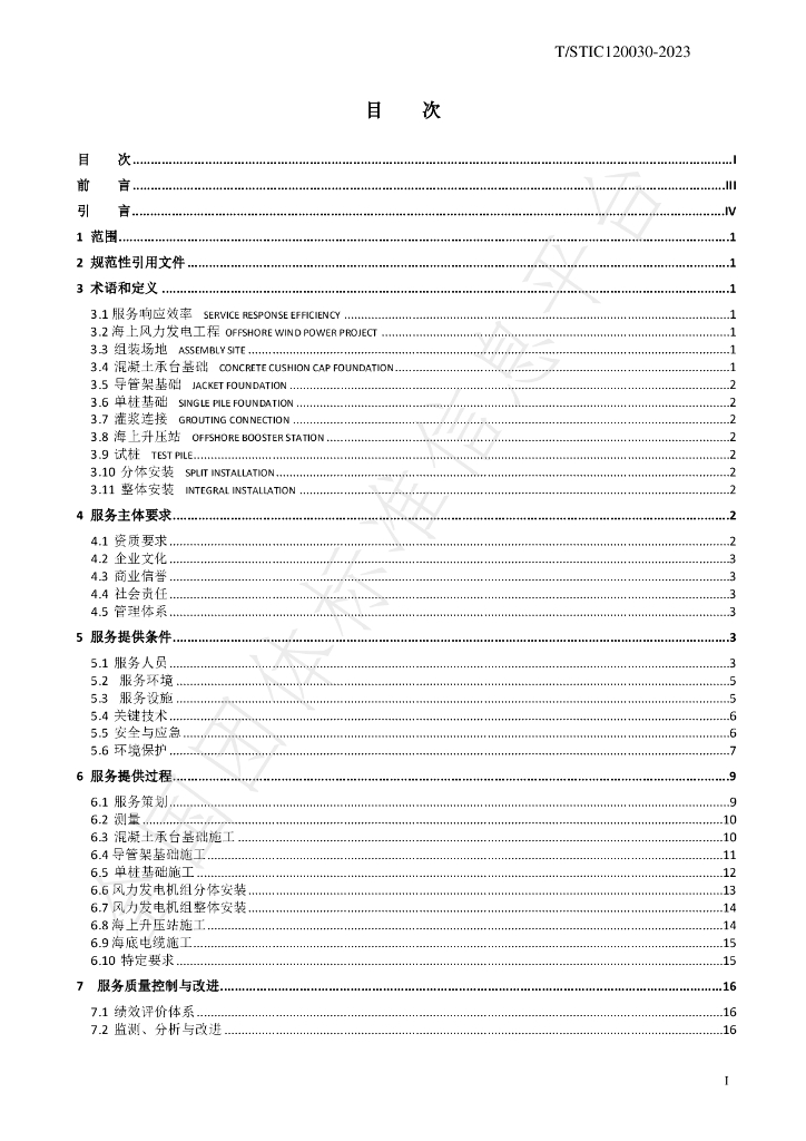 T/STIC 120030-2023 标准预览