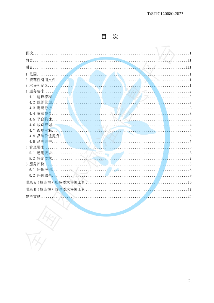 T/STIC 120080-2023 标准预览