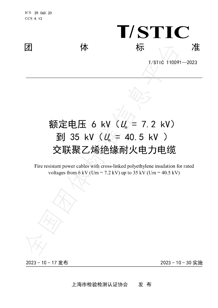 T/STIC 110091-2023 标准预览