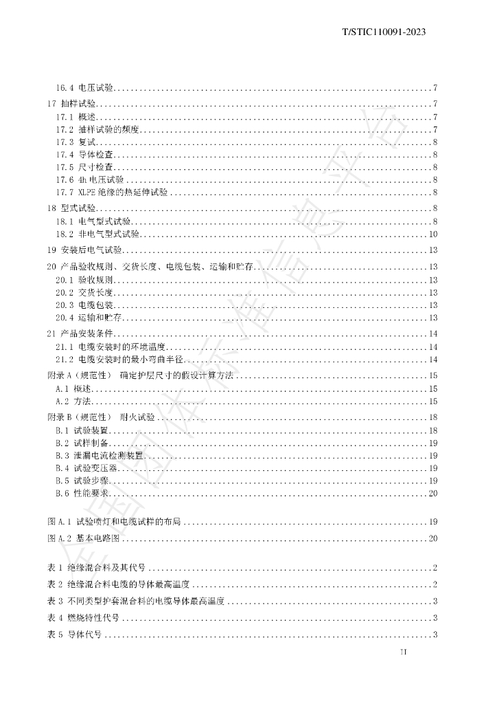 T/STIC 110091-2023 标准预览