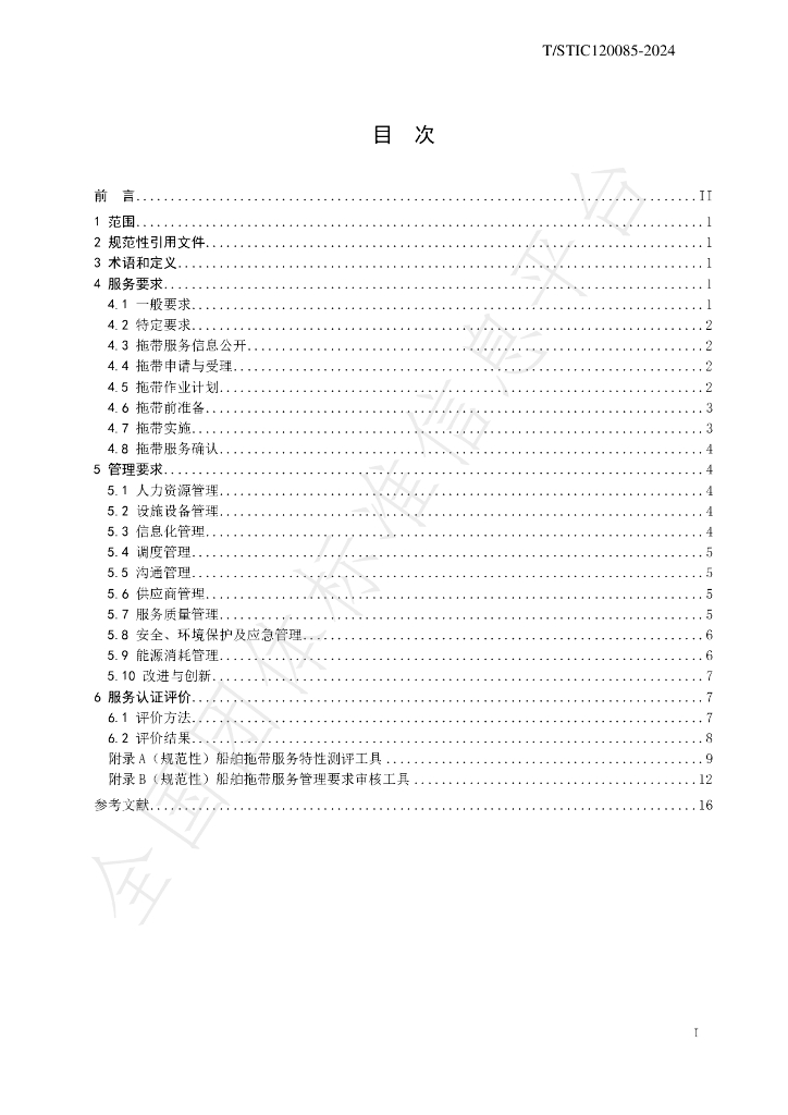 T/STIC 120085-2023 标准预览