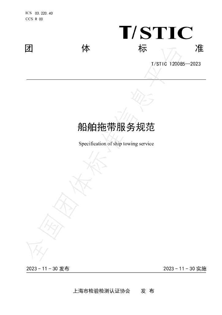 T/STIC 120085-2023 标准预览