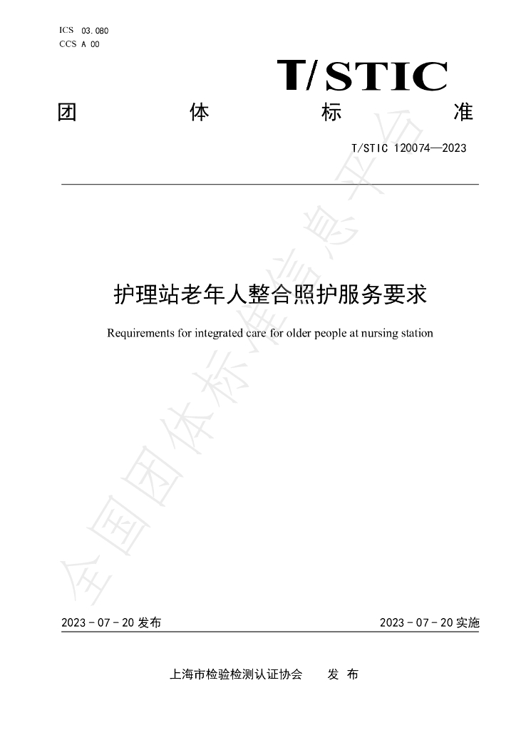 T/STIC 120074-2023 标准预览