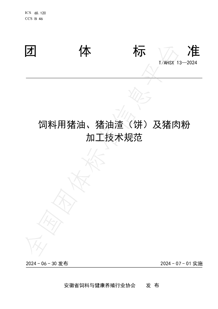 T/AHSX 13-2024 标准预览