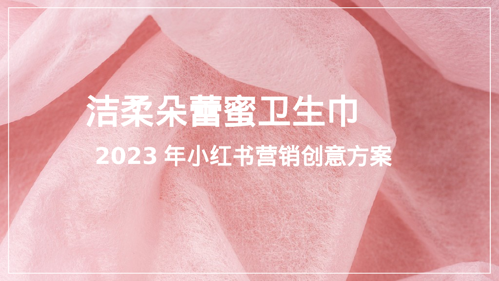 卫生巾品牌2023年小红书营销创意方案
