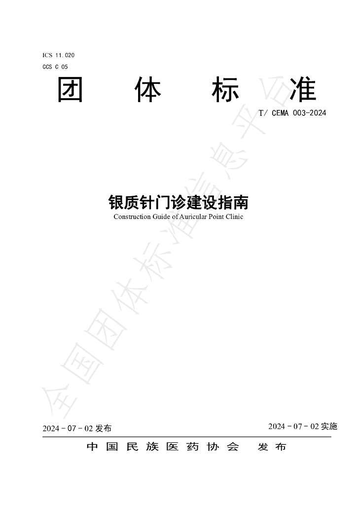 T/CEMA 003-2024 标准预览