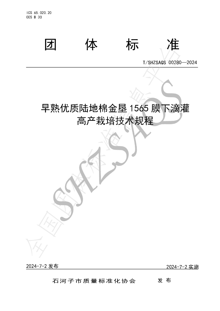 T/SHZSAQS 00280-2024 标准预览