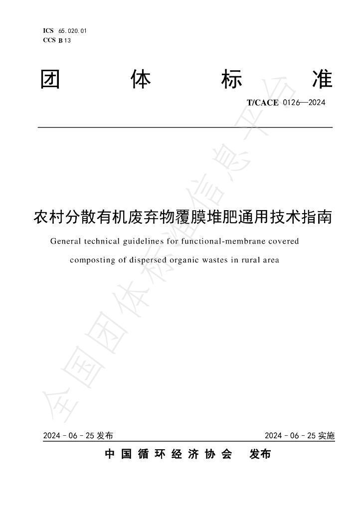 T/CACE 0126-2024 标准预览