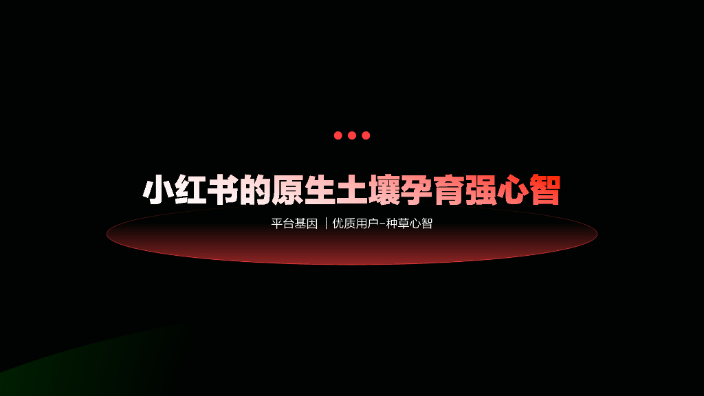 小红书：2024汽车行业营销通案_第3页