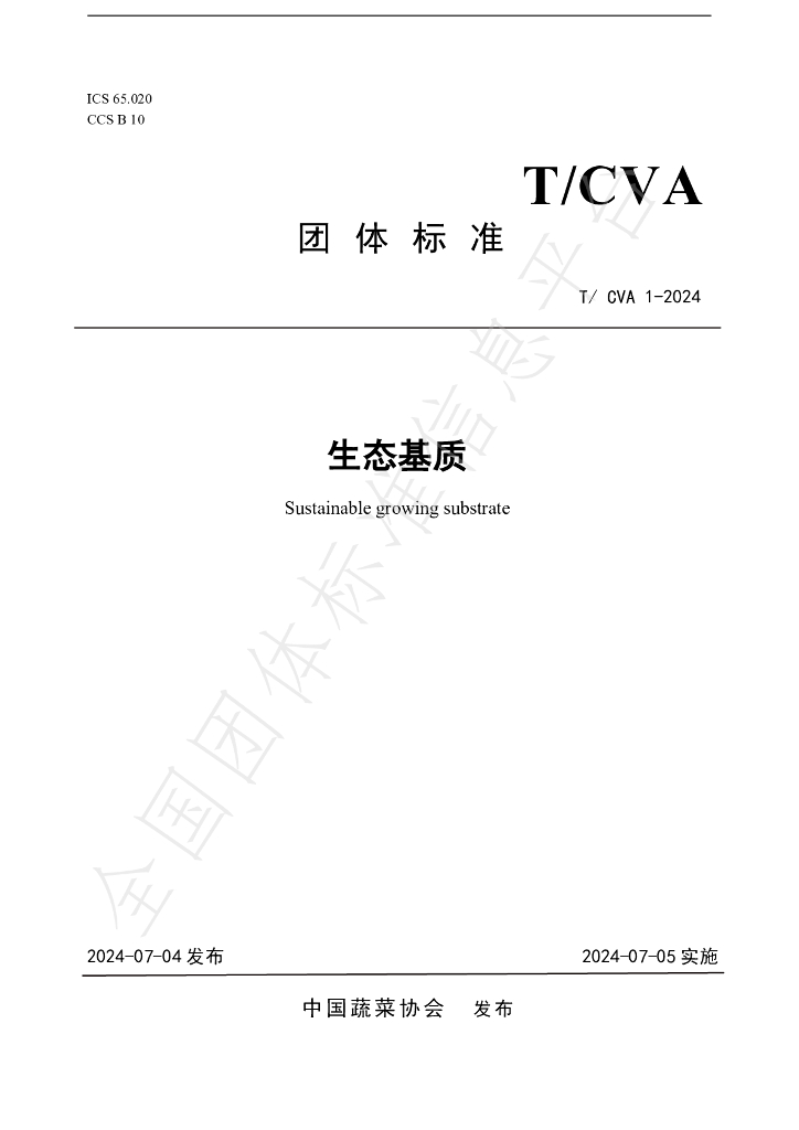 T/CVA 1-2024 标准预览