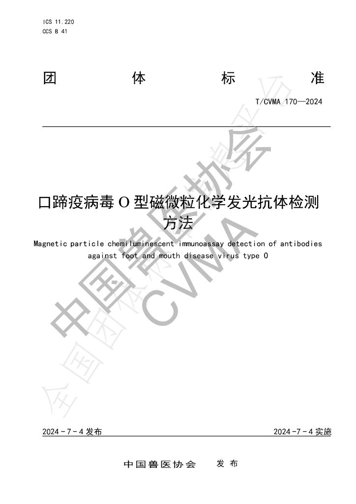 T/CVMA 170-2024 标准预览