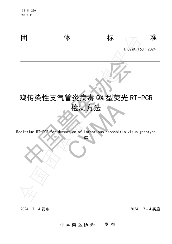 T/CVMA 168-2024 标准预览