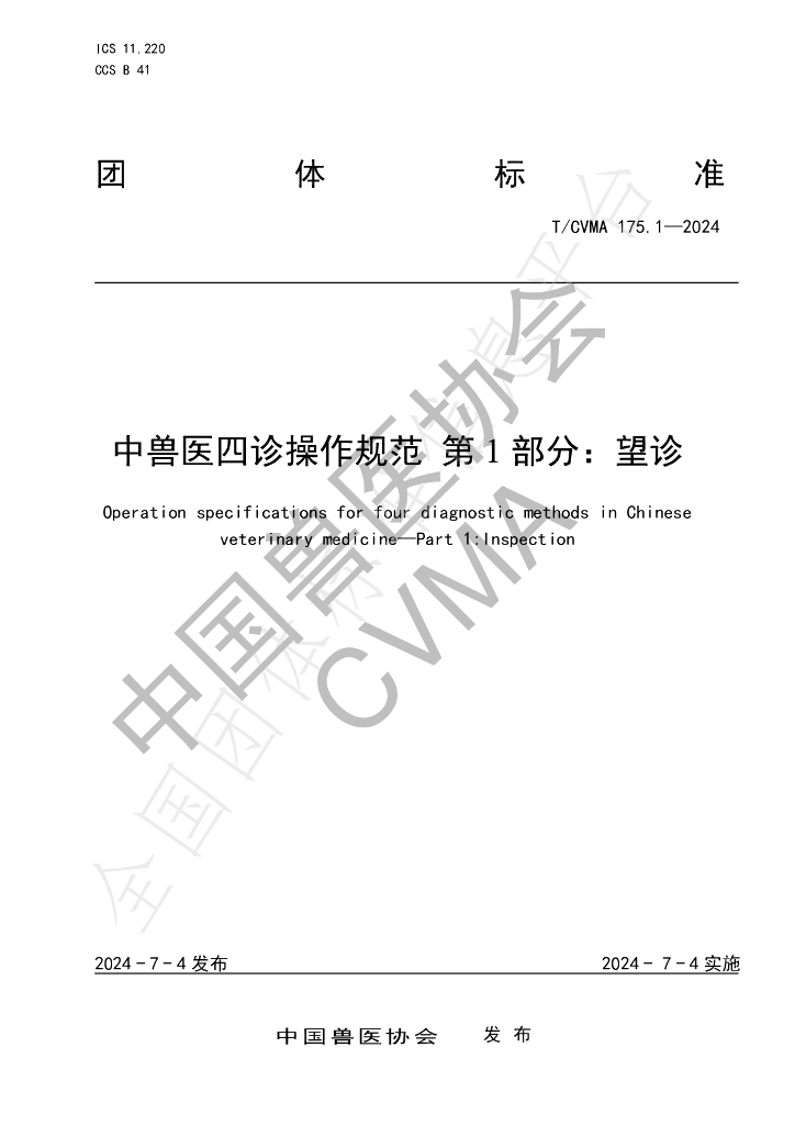 T/CVMA 175.1-2024 标准预览