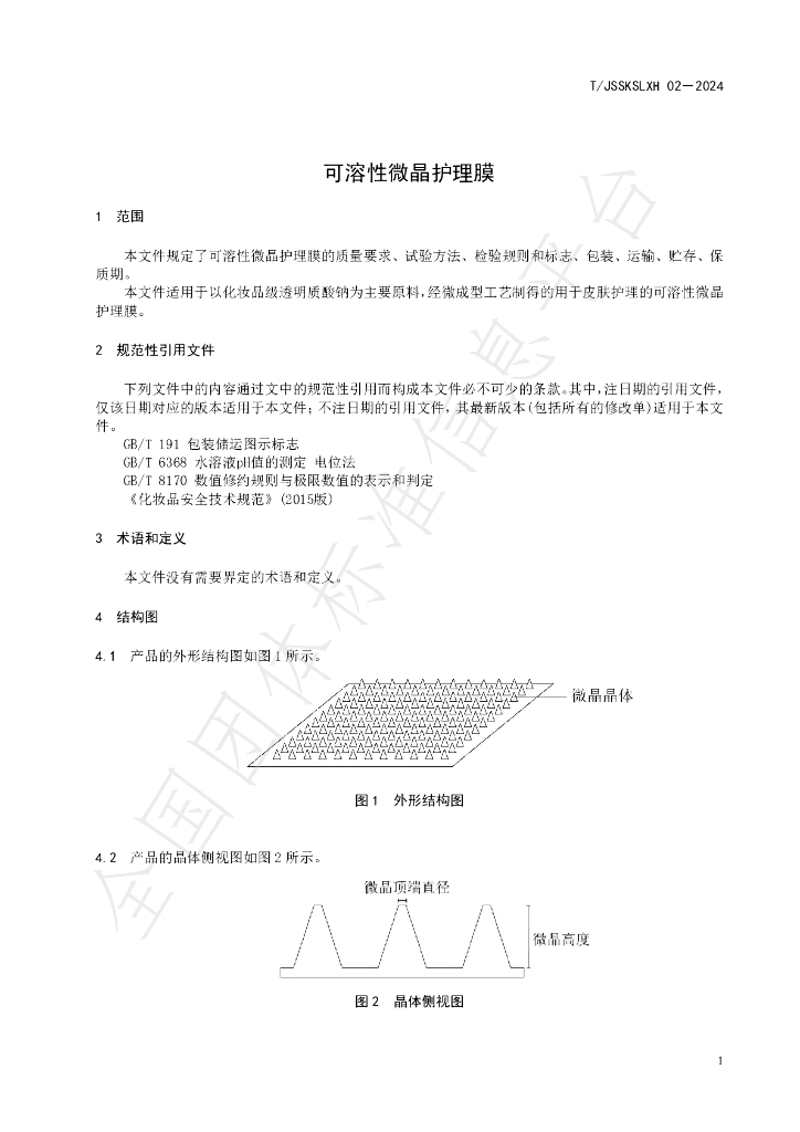 T/JSSKSLXH 02-2024 标准预览