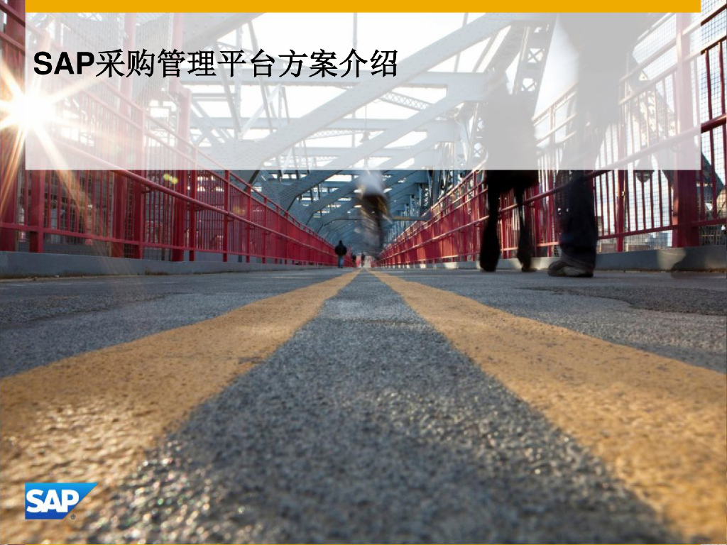 SAP供应商关系管理方案