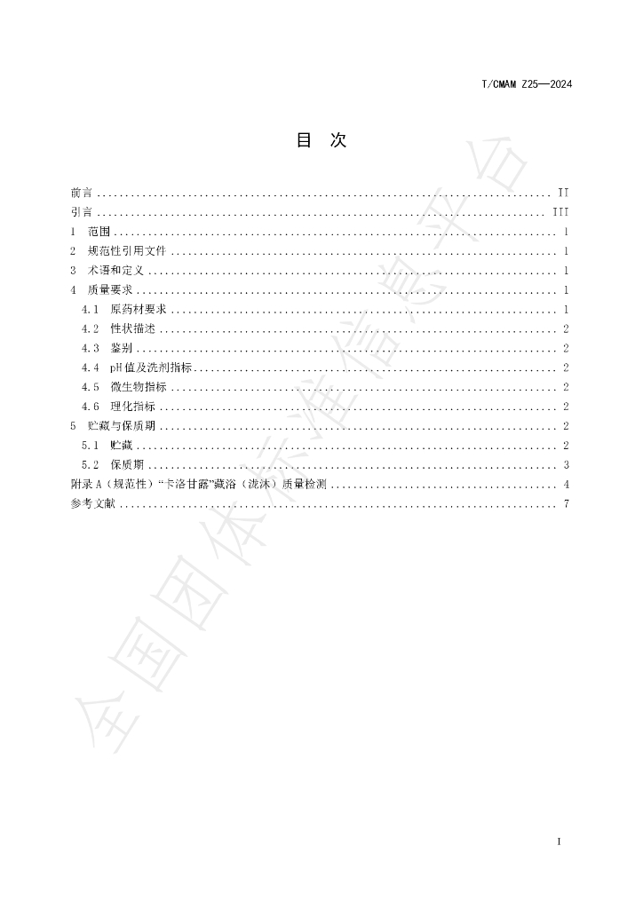 T/CMAM Z25-2024 标准预览