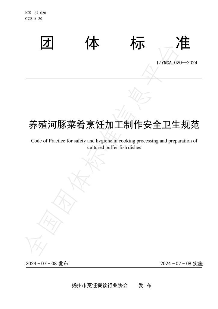 T/YMCA 020-2024 标准预览