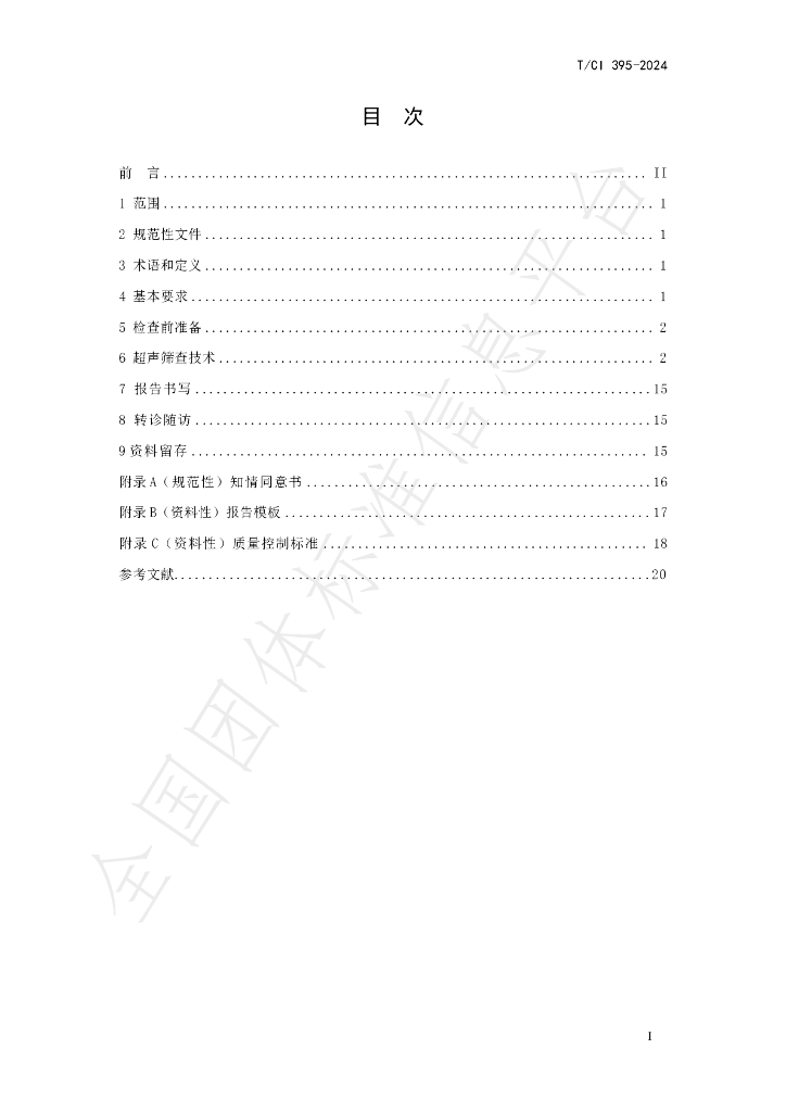 T/CI 395-2024 标准预览