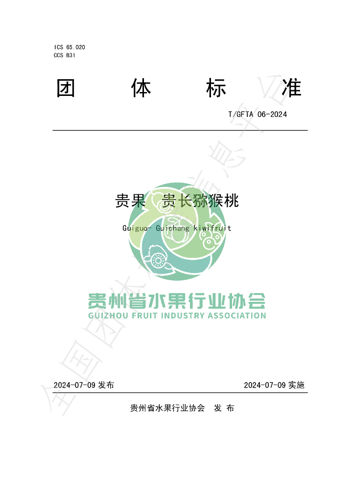 T/GFTA 06-2024 标准预览