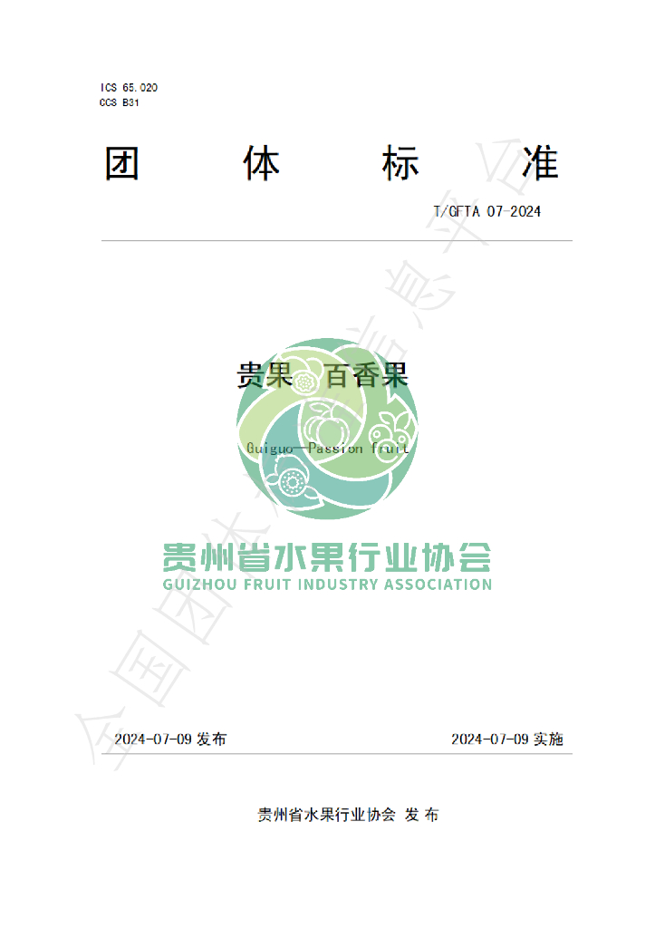 T/GFTA 07-2024 标准预览