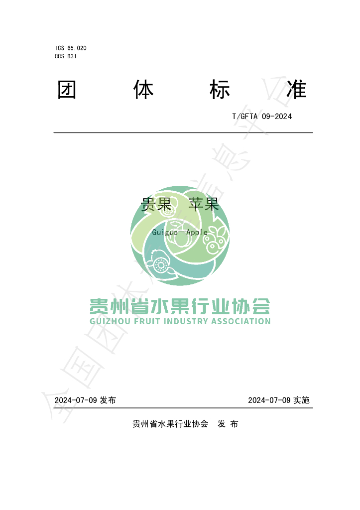 T/GFTA 09-2024 标准预览