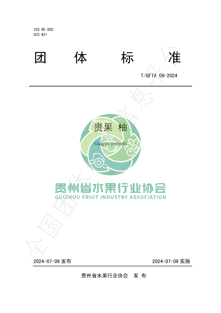 T/GFTA 08-2024 标准预览