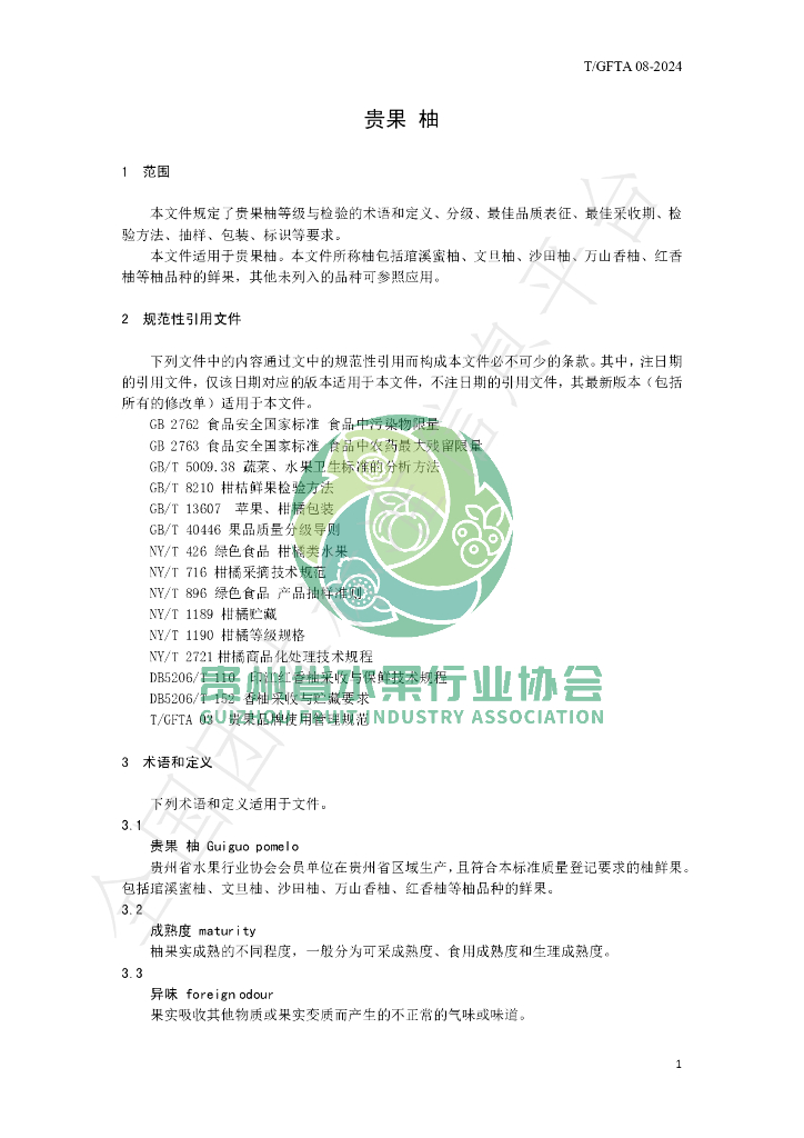 T/GFTA 08-2024 标准预览