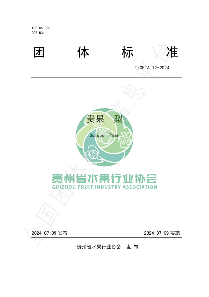 T/GFTA 12-2024 标准预览