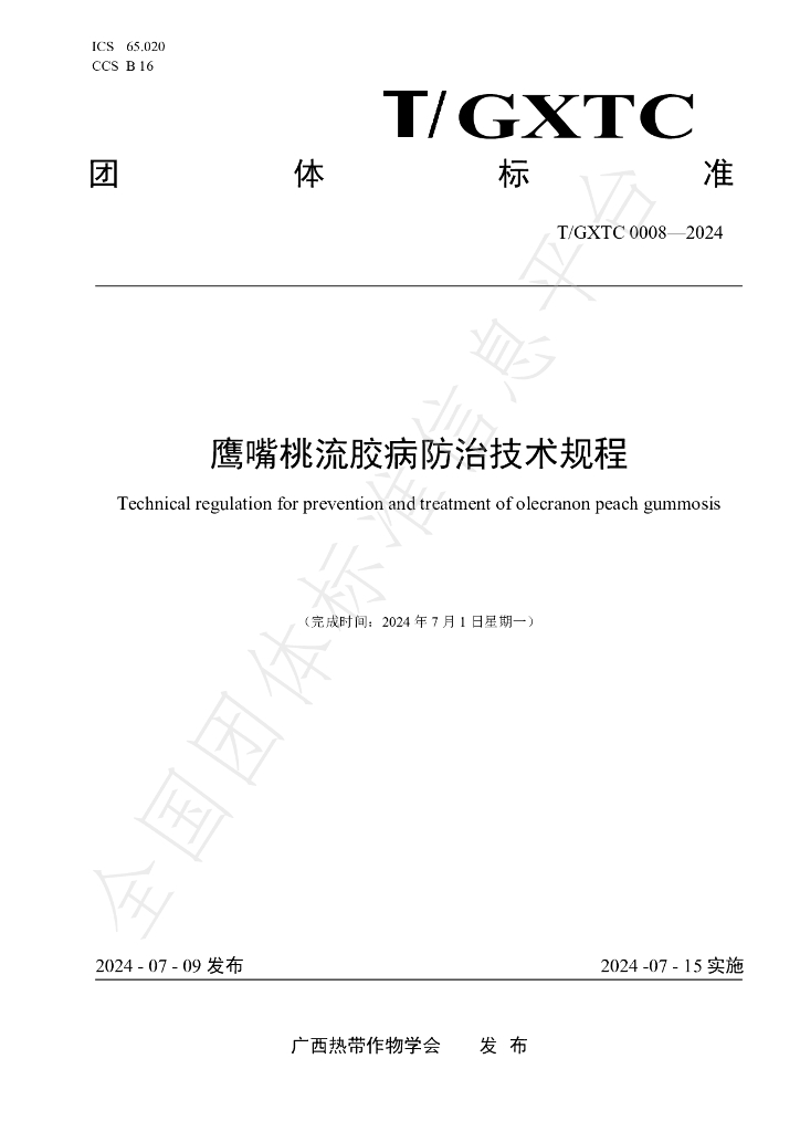 T/GXTC 0008-2024 标准预览