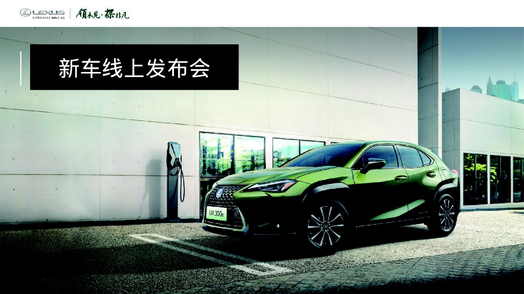豪华汽车品牌新车线上发布会活动策划方案