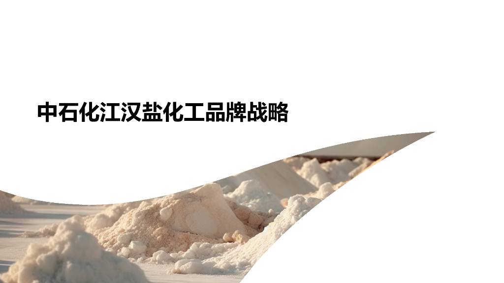 鲸创传媒：中石化江汉盐化工品牌战略方案