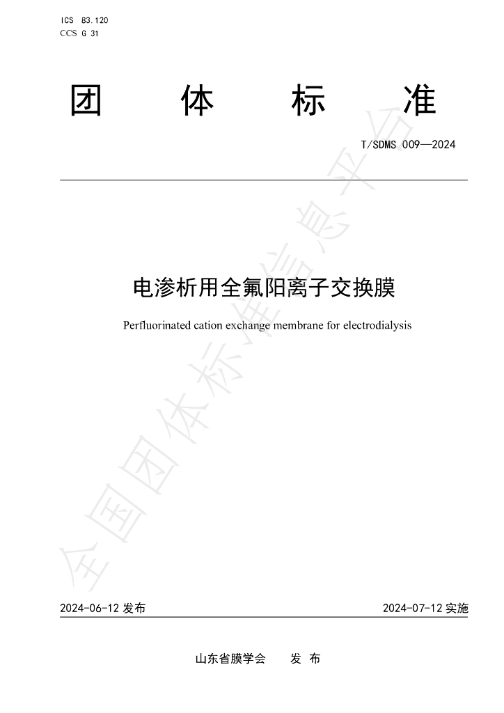 T/SDMS 009-2024 标准预览