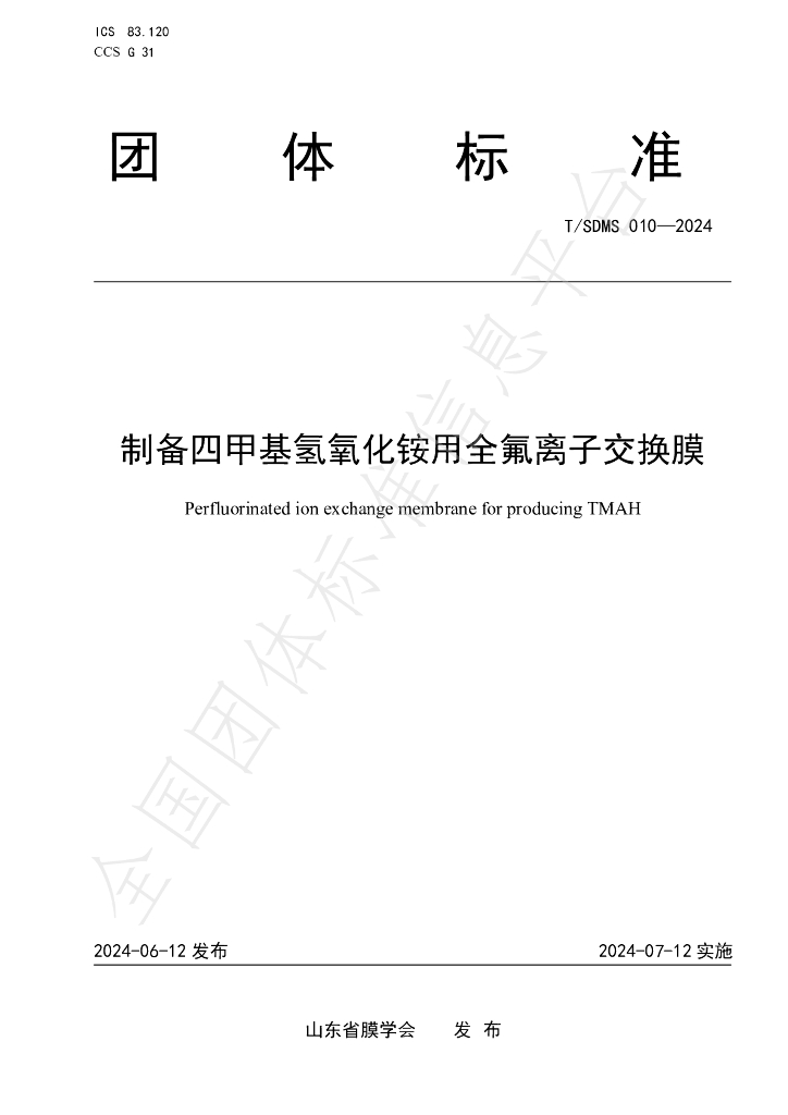 T/SDMS 010-2024 标准预览