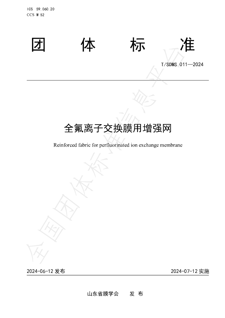 T/SDMS 011-2024 标准预览