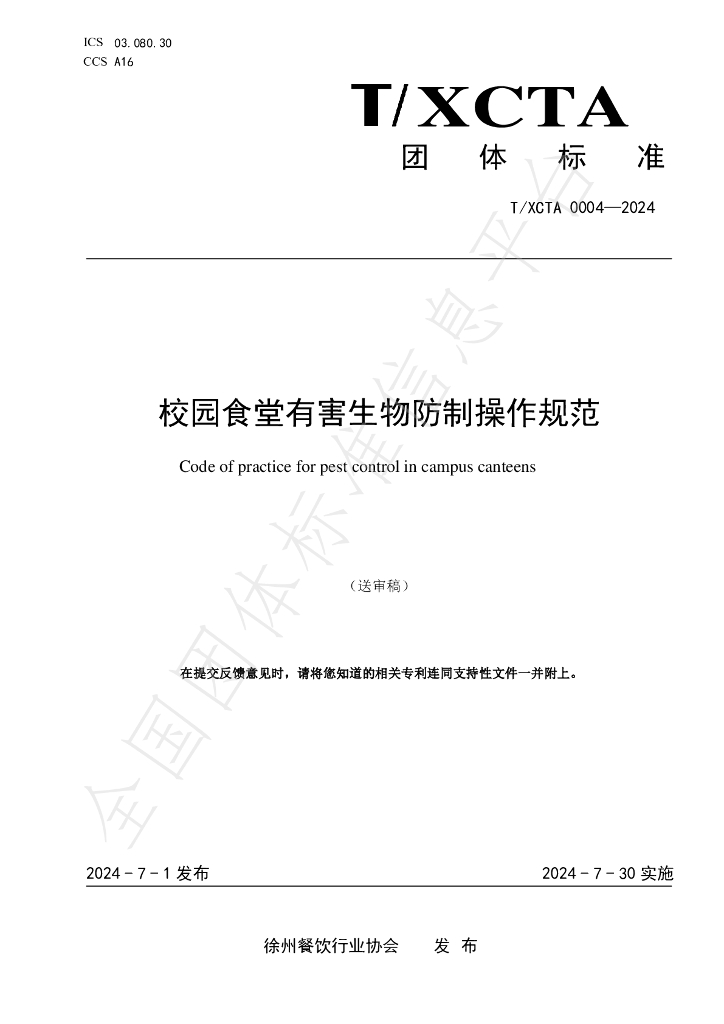 T/XCTA 0004-2024 标准预览
