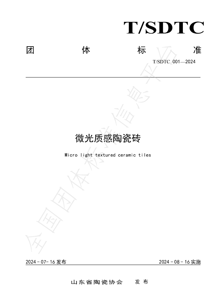 T/SDTC 001-2024 标准预览