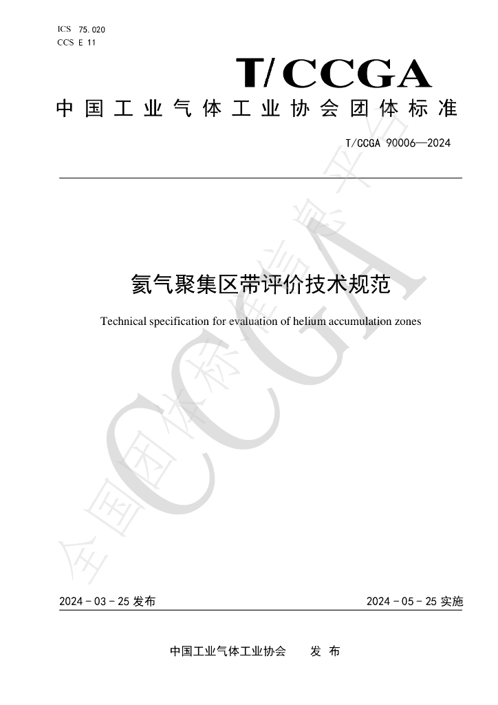 T/CCGA 90006-2024 标准预览