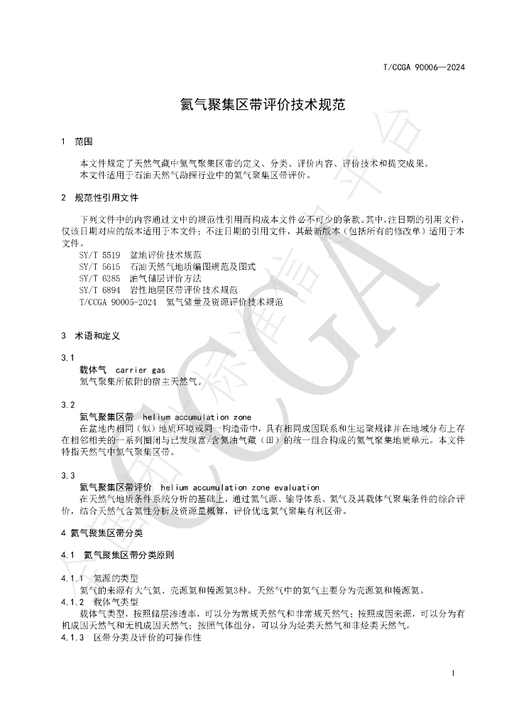 T/CCGA 90006-2024 标准预览