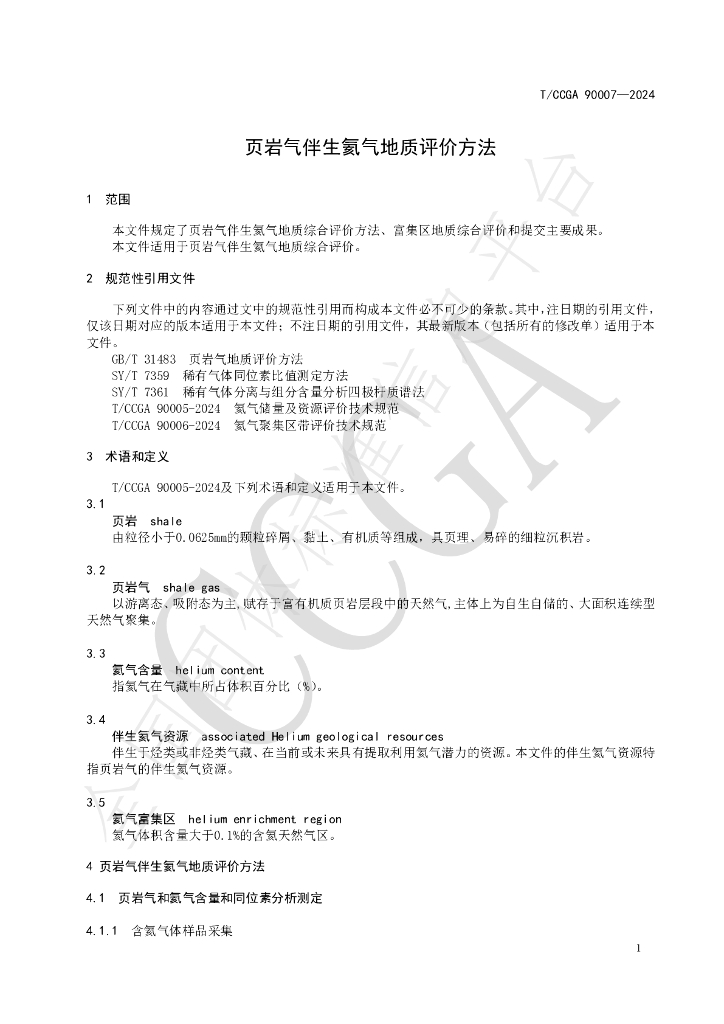 T/CCGA 90007-2024 标准预览