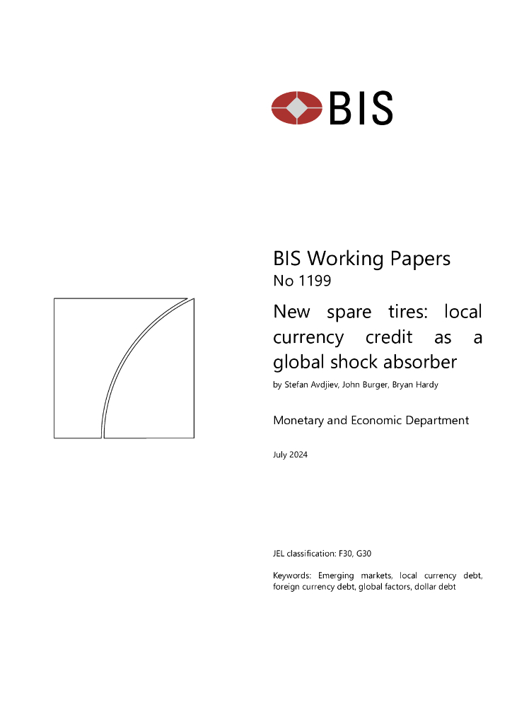 国际清算银行：新备胎：本币信贷作为全球减震器（英文版）