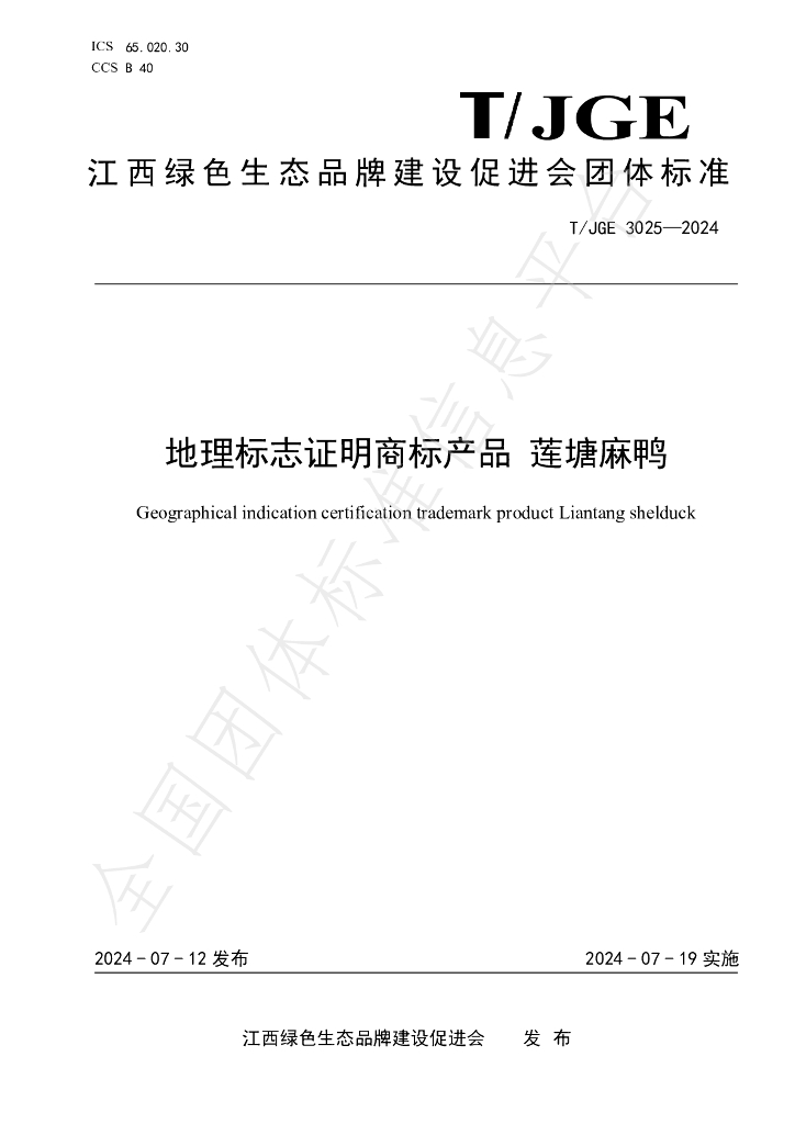T/JGE 3025-2024 标准预览