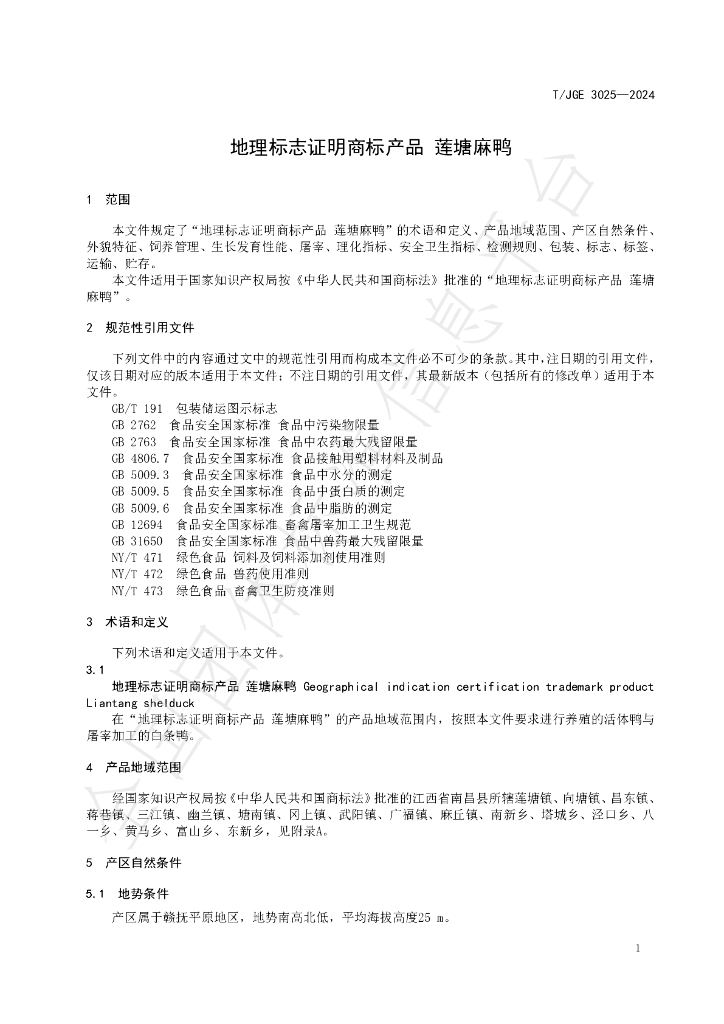 T/JGE 3025-2024 标准预览