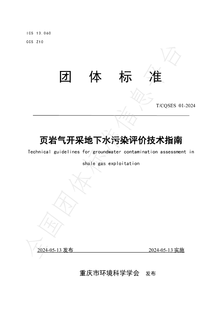 T/CQSES 01-2024 标准预览