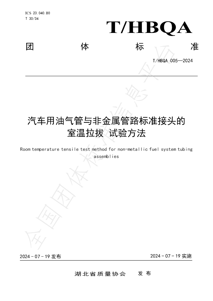 T/HBQA 005-2024 标准预览