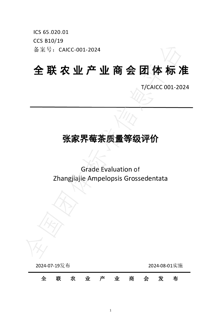 T/CAICC 001-2024 标准预览